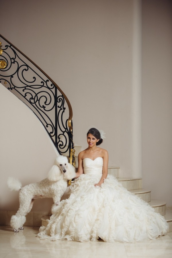 Copyright © 2013 http://www.jonathanivyphoto.com