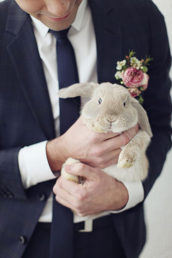 Easy Weddings Kitten Sonya Khegay