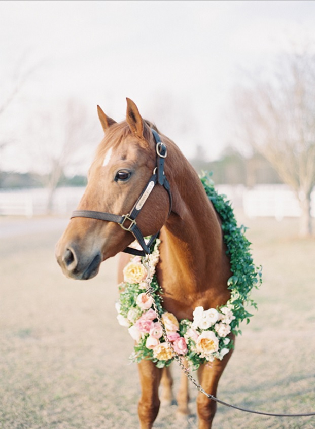 Easy Weddings landonjacobphotography