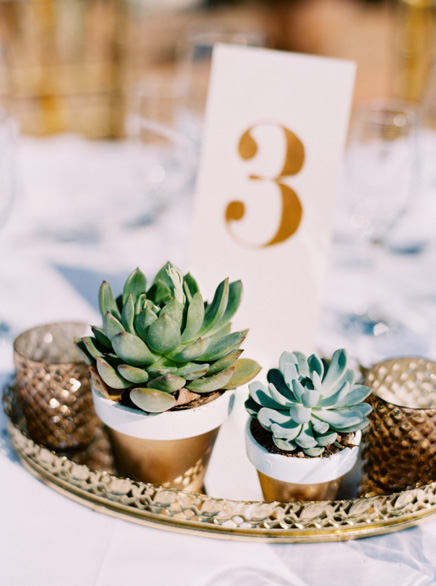 succulent centrepieces for wedding