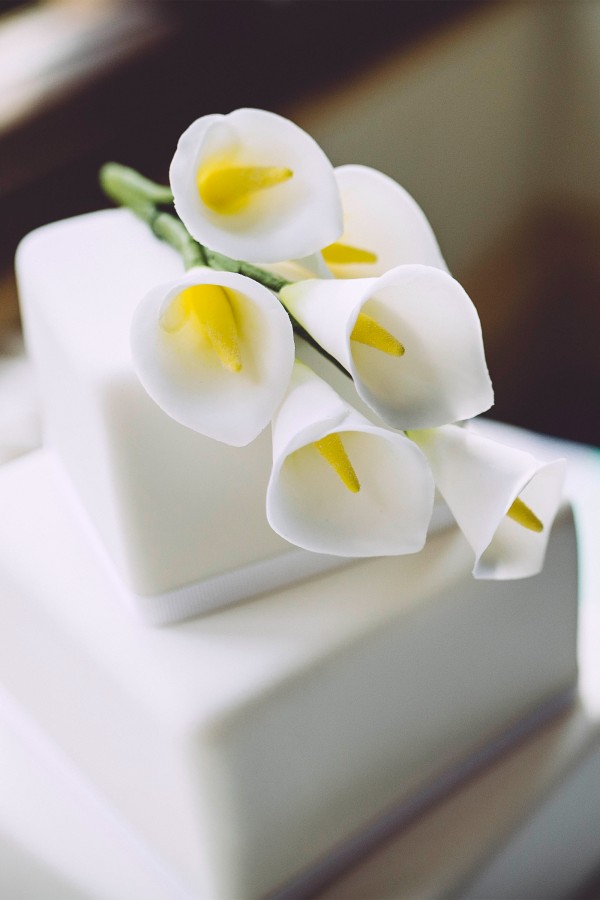 Laura_Scott_Elegant-Wedding_SBS_019